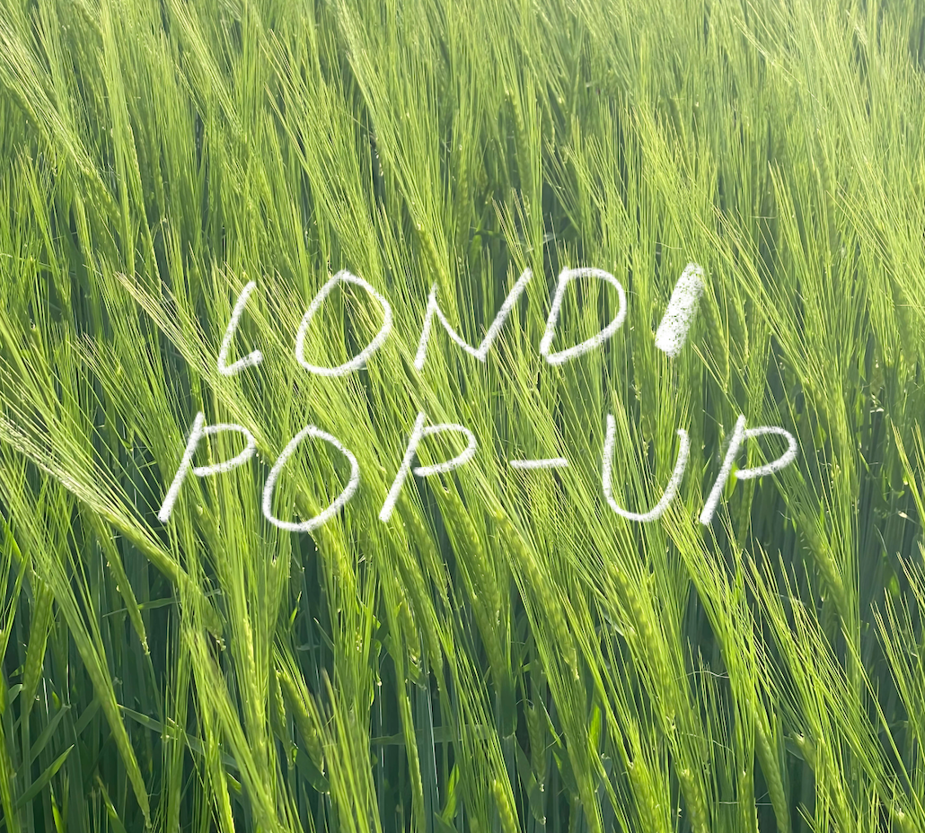 The Naked Room, вул. Рейтарська 21